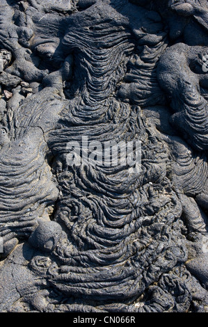 Vulkanische Felsformationen, Galapagos-Inseln Stockfoto