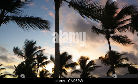 Handflächen Silhoette auf den wunderschönen Sonnenuntergang Abendhimmel Stockfoto