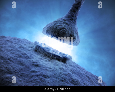 Synapse - konzeptionelle Darstellung menschlichen Nervensystem Stockfoto