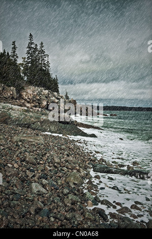 Coastal Regen Sturm, Maine, USA Stockfoto