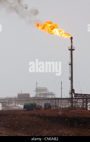 Fackeln für Gehäuse-Kopf Gas flaring während Öl Stockfoto