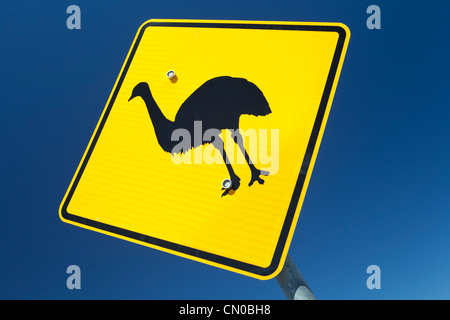 Eine typische Vorsicht WWU unterschreiben Warnung australische Fahrer Gefahren voraus. Stockfoto