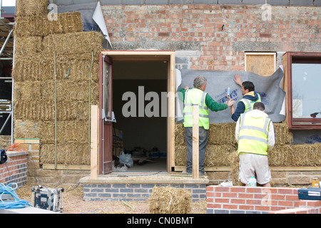 Bauherren, die mit Stroh für Wärmedämmung auf ein neues Öko-Gebäude Stockfoto