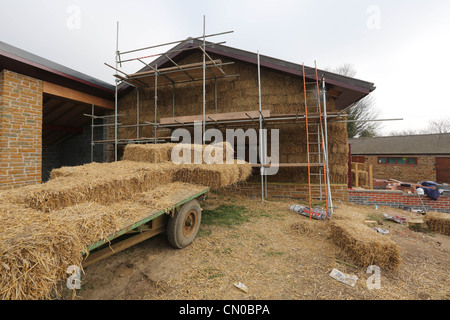 Bauherren, die mit Stroh für Wärmedämmung auf ein neues Öko-Gebäude Stockfoto