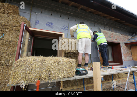 Bauherren, die mit Stroh für Wärmedämmung auf ein neues Öko-Gebäude Stockfoto