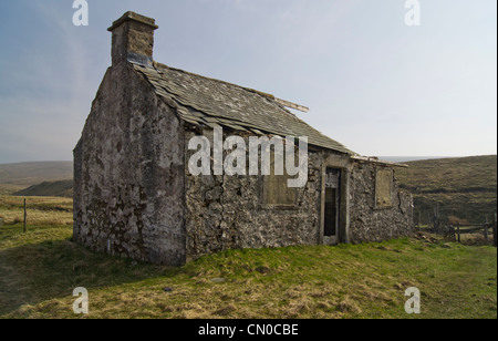 Alten verlassenen Bauernhof in Yorkshire Dales Stockfoto