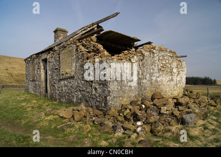 Alten verlassenen Bauernhof in Yorkshire Dales Stockfoto