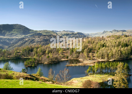 Tarn Hows in den Lake District National Park. Stockfoto