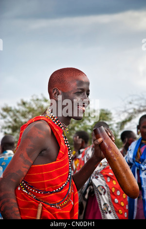 Masai Mann, bunte Tracht, Trinken von Kuhmilch Blut aus einem Kürbis, einem Dorf in der Masai Mara, Kenia, Afrika Stockfoto