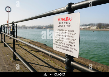 Schild Warnung der Öffentlichkeit über die Gefahren der blau - grüne Algen in Preston Marina Stockfoto