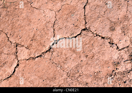 Dürreperiode - trockener Boden / ausgetrocknete Erde / Knochen trockener Boden oder Boden während der Dürre. Für Klimakrise, Wasserkrise, heißen, trockenen Sommer, gerissenen Boden Stockfoto