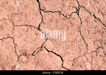 Dürreperiode - trockener Boden / ausgetrocknete Erde / Knochen trockener Boden oder Boden während der Dürre. Für Klimakrise, Wasserkrise, heißen, trockenen Sommer, gerissenen Boden Stockfoto