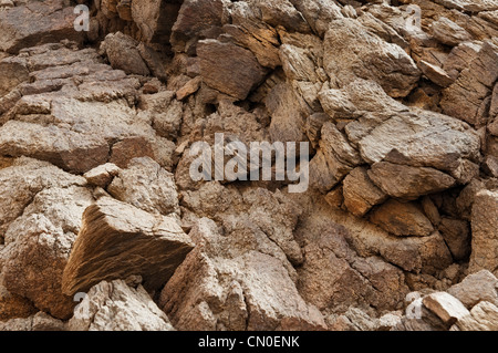 Landschaft in der Wüste Negev Stockfoto