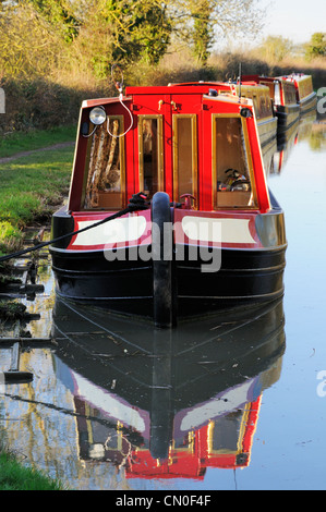 Rote Schmalboote moorierten auf dem Ashby Kanal bei Stoke Golding Stockfoto