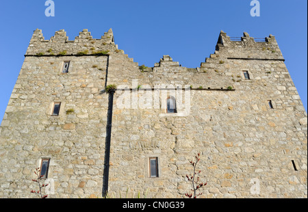 Bulloch Burg, Dublin, Irland Stockfoto