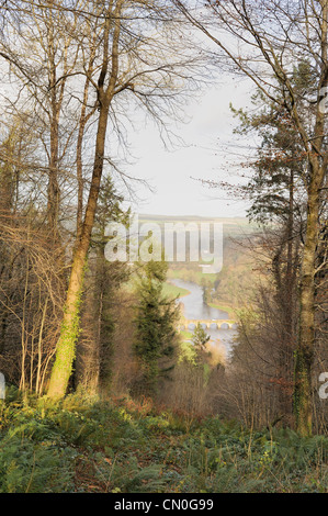 Woodland-Szene mit Blick auf die Brücke über den Fluss Nore in Inistioge, County Kilkenny, Irland Stockfoto