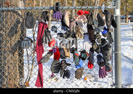 Verloren, Handschuhe und Hüte, die von einem Park Pfad, der einem Maschendrahtzaun befestigt Stockfoto