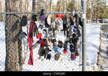 Verloren, Handschuhe und Hüte, die von einem Park Pfad, der einem Maschendrahtzaun befestigt Stockfoto