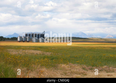 Moderne Prairie Bauernhof Korn Lagerplätze in der Nähe von den kanadischen Rocky Mountains Stockfoto