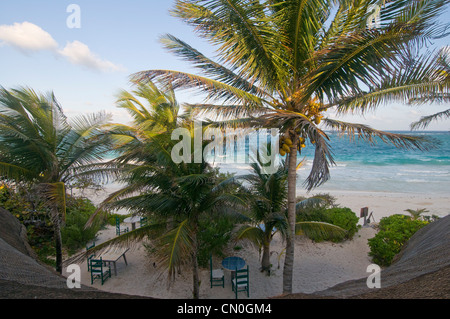 Verlassener Strand mit Palmen von palapa Stockfoto