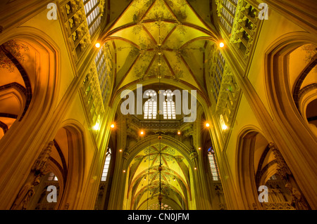 Innenraum der St. Johns Cathedral. 's-Hertogenbosch, Niederlande. Stockfoto