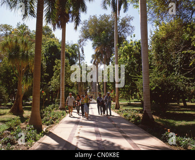 Landscaped Avenue, Assuan Botanical Garden, Kitchener's Island, Assuan, Assuan Governorate, Republik Ägypten Stockfoto