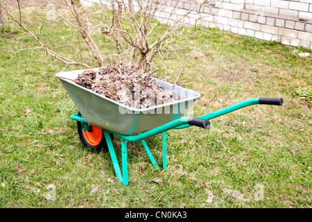 Handwagen voller Laub in den Frühling-Nachmittag Stockfoto