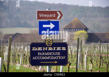 Wegweiser am Denbies Wine Estate, Dorking, Surrey, Vereinigtes Königreich Stockfoto