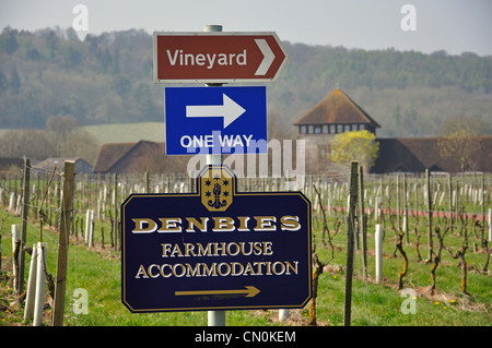 Wegweiser am Denbies Wine Estate, Dorking, Surrey, Vereinigtes Königreich Stockfoto