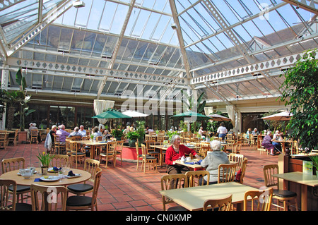 Konversatorium Café am Denbies Wine Estate, Dorking, Surrey, Vereinigtes Königreich Stockfoto