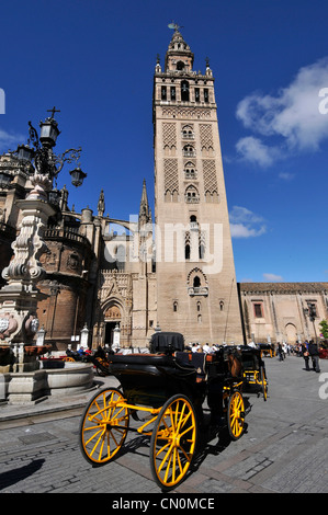 Spanien Andalusien, Sevilla der Glockenturm der Kathedrale, bekannt als Giralda Stockfoto