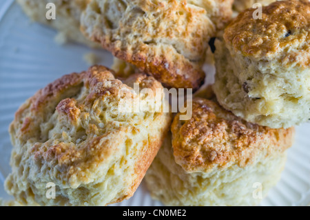 Nahaufnahme eines frisch gebackenen Scones auf einem Teller Stockfoto