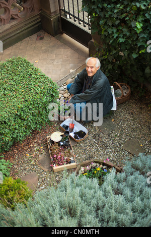 Lächelnd älterer Mann Gartenarbeit Elsass Frankreich Europa Stockfoto