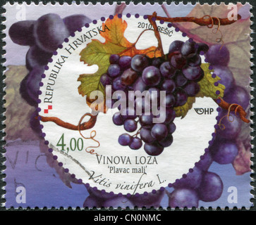 Kroatien - ca. 2010: Widmet sich Trauben, Vitis Vinifera (gemeinsame Grape Vine), ca. 2010 zeigt eine Briefmarke gedruckt in Kroatien, Stockfoto