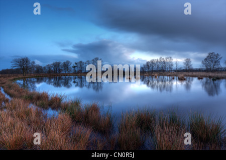 Ein See im Moor, kurz vor Sonnenaufgang. Violette Moor Grass (Molinia Caerulea) und weiche Rush (Juncus Effusus) wachsen an der Küste. Stockfoto