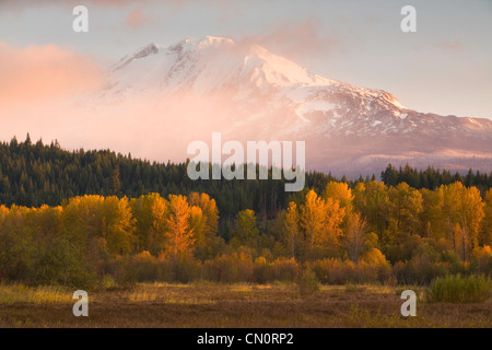 Herbst-Blick auf Mt. Adams von Trout Lake, Washington, USA Stockfoto