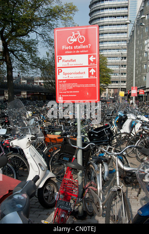 Fahrrad-Parken in der Nähe vom Hauptbahnhof in Amsterdam, Niederlande. Stockfoto