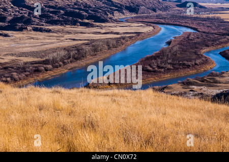 Red Deer River in den kanadischen Badlands im Süden von Alberta, Kanada. Stockfoto