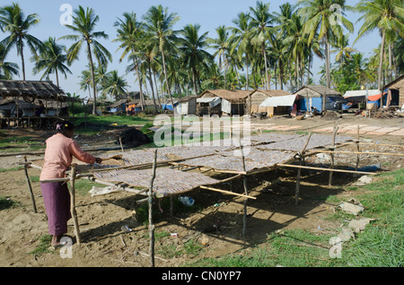 Frau Fisch zum Trocknen in die Sonne zu legen. Win Kwin Dorf lag. Irrawaddy-Delta. Myanmar. Stockfoto