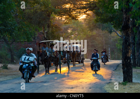 Pferd und Wagen Verkehr auf Straße bei Sonnenuntergang, Bagan, Myanmar Stockfoto