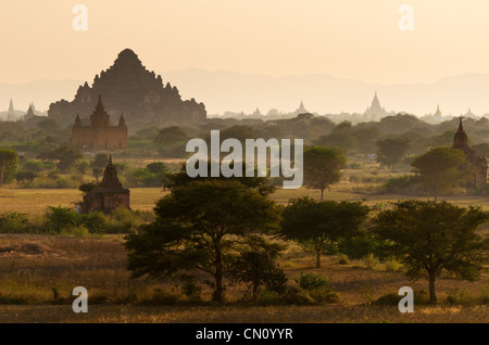 Tempel im fernen Dunst bei Sonnenuntergang, Bagan, Myanmar Stockfoto