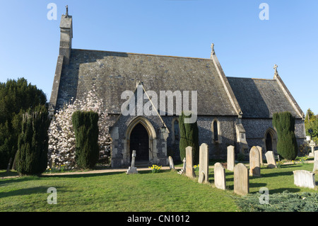 Magnolienbaum in voller Blüte innerhalb der Kirche Begründung der Heiligen Dreifaltigkeit Pfarrei Kirche Seer Green Dollar UK. Stockfoto