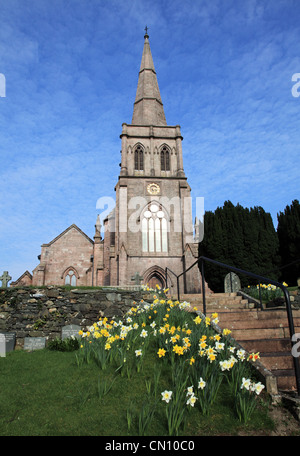 Narzissen wachsen vor St. Johannes Kirche Keswick NW England UK Stockfoto