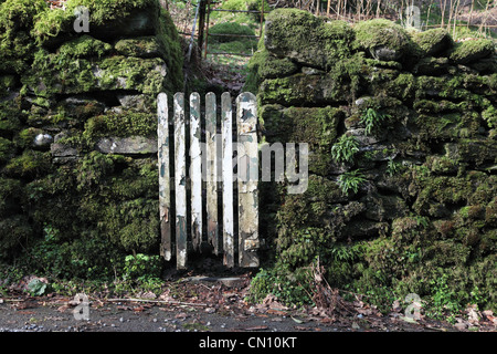 Tor durch Moos bedeckt Steinmauer in der Nähe von Grasmere NW England UK Stockfoto