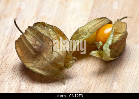 Physalis Peruviana, Kap-Stachelbeere Stockfoto