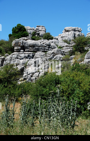 Karstlandschaft, El Torcal Nationalpark, Torcal de Antequera, Provinz Malaga, Andalusien, Südspanien, Westeuropa. Stockfoto