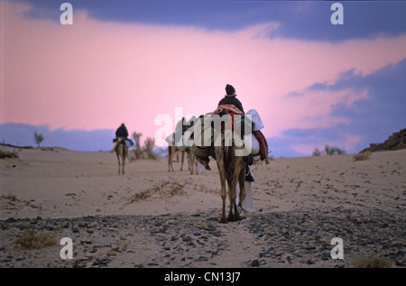 Kinder in den Sinai desret Stockfoto