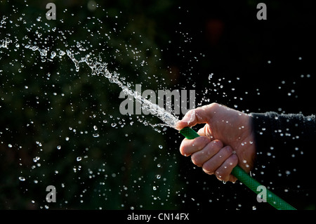 Hand mit Gartenschlauch vor einem dunklen Hintergrund Sprühwasser Stockfoto