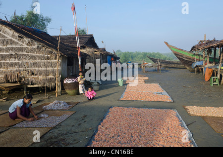 Frau Fisch zum Trocknen in die Sonne zu legen. Win Kwin Dorf lag. Irrawaddy-Delta. Myanmar. Stockfoto