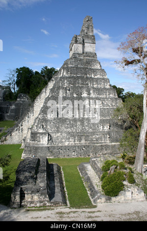 La Ruta Maya;Maya-Tempel im Dschungel von Tikal Guatemala.Mittelamerika Stockfoto